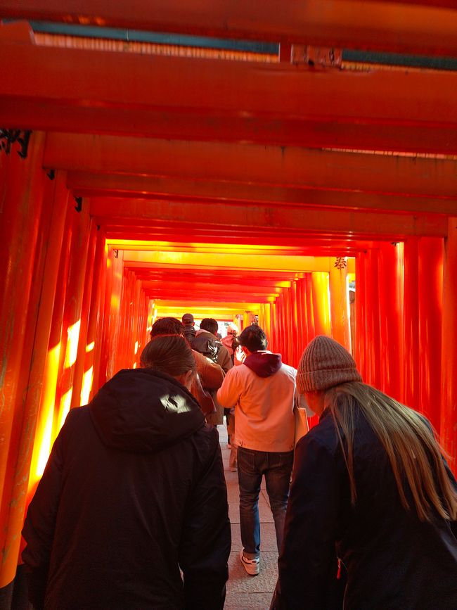 Not all Torii are the same height...