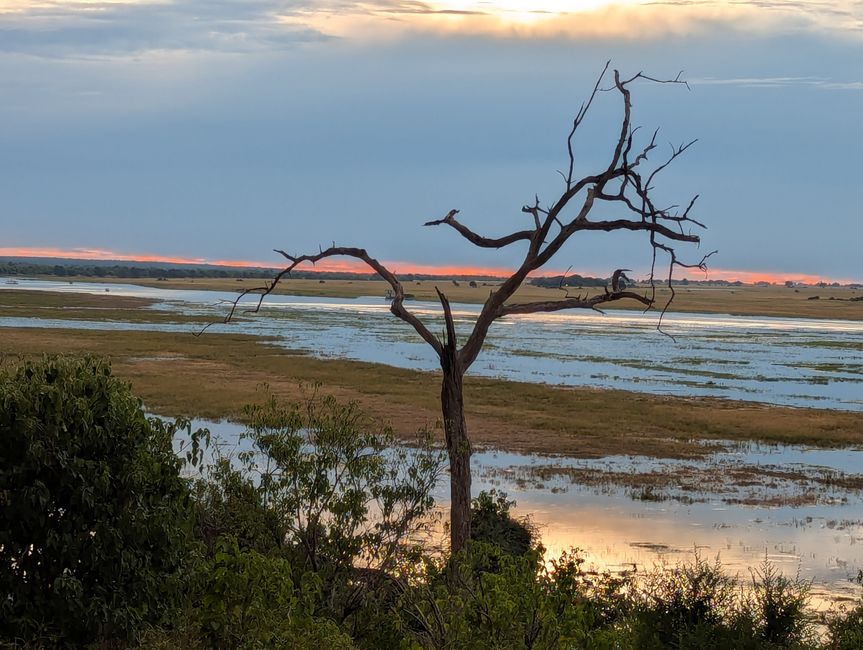 Chobe River und Nationalpark