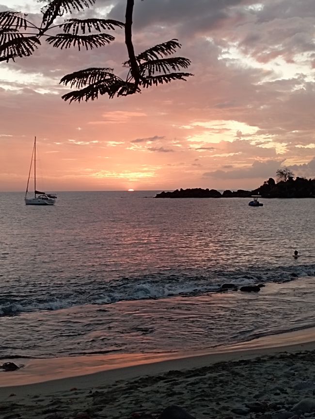 Mangrovie a Martinica e tramonto a Guadalupa
