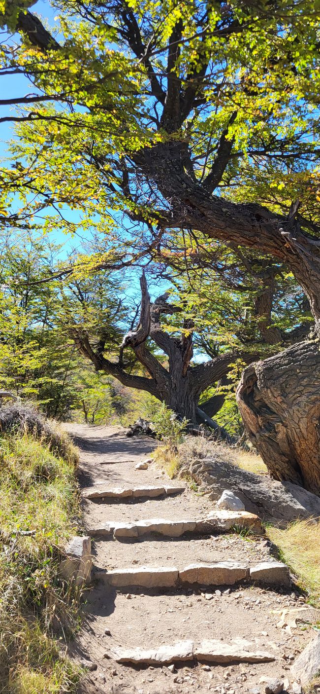 Highlight "Fitz Roy"