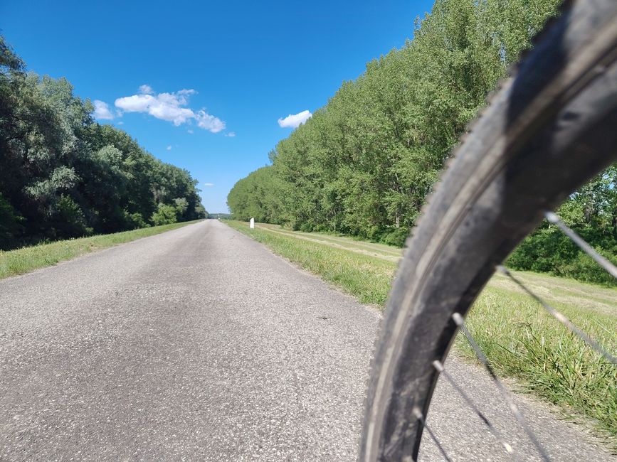 Geradeaus mit Reifen
