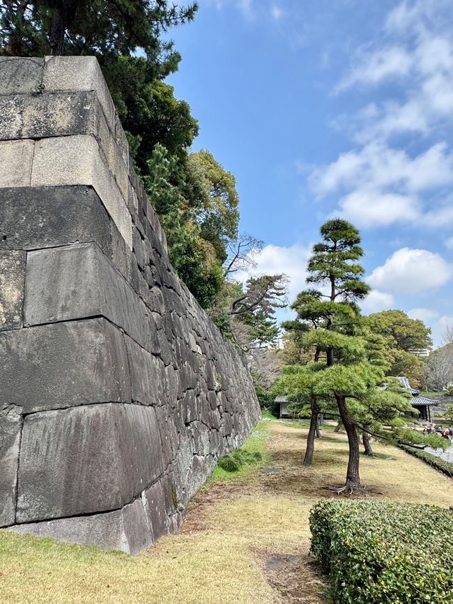Parte 7
BENVENUTO IN GIAPPONE 🇯🇵
TOKYO