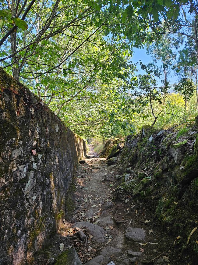 Stage 5: Viana do Castelo - Caminha