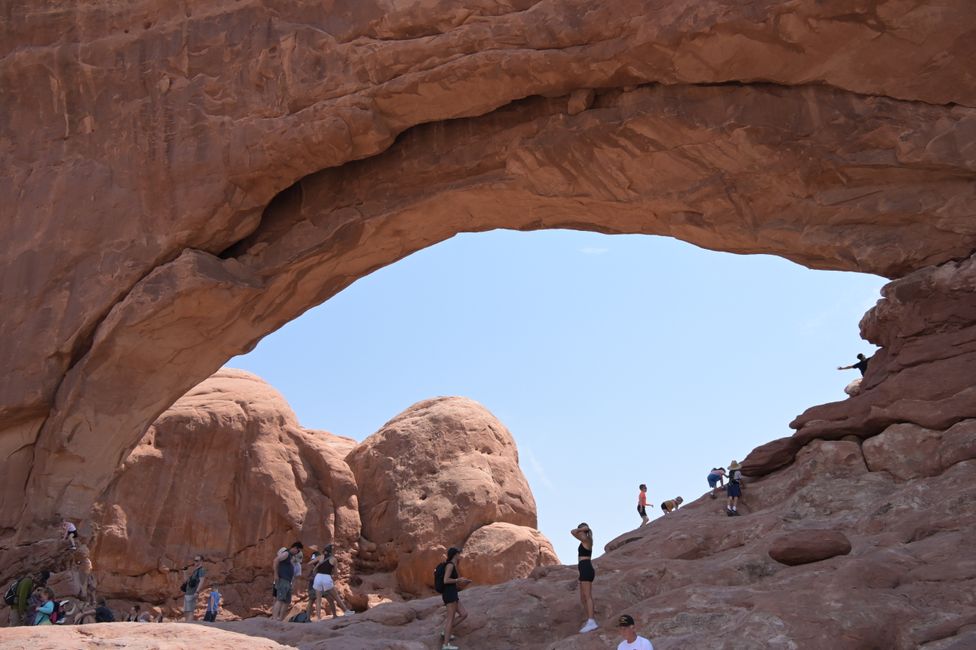 Windows Section - North Window