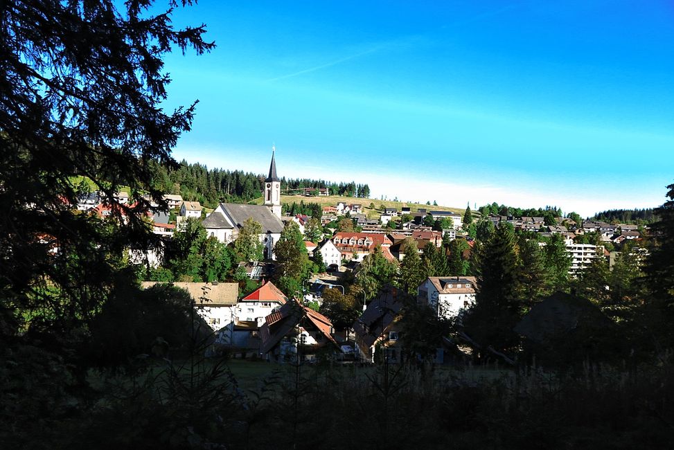 Schönwald