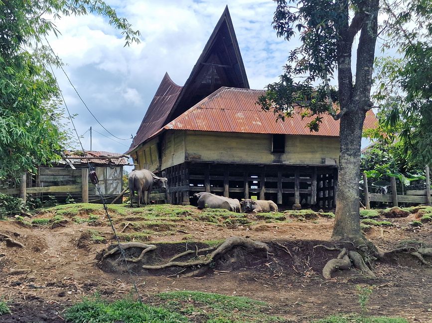 Horas, Danau Toba und ein Wiedersehen nach 34 Jahren