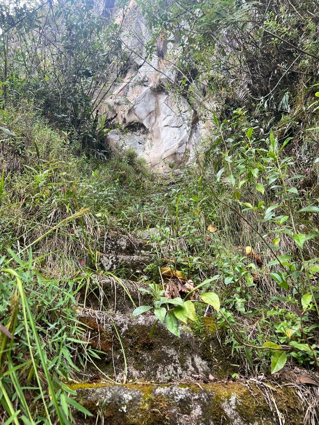 👷‍♂️标签 31-1 (3.11.) 马丘比丘，登上惠纳比丘山