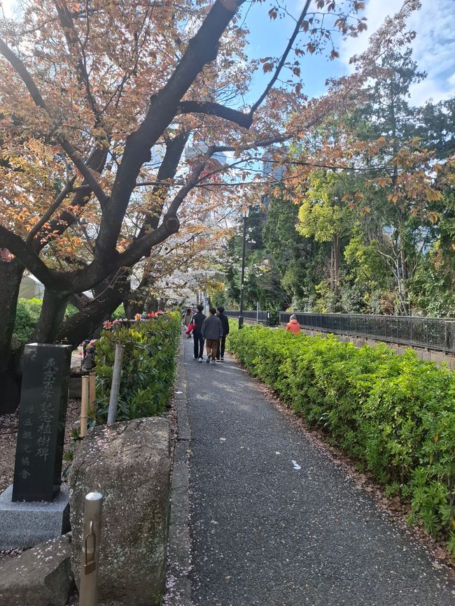 Tokyo Tower