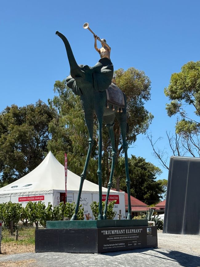 Wiedersehen in Adelaide, 11. und 12.01.25