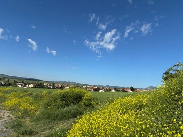 6. Tag 
Arre/Villava - Zariquiegui