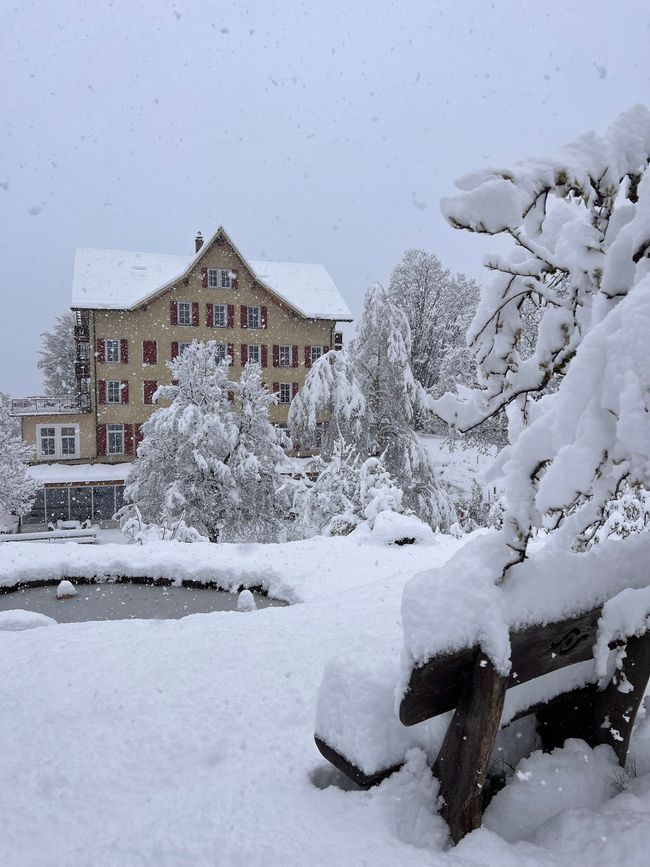 Winter wonderland