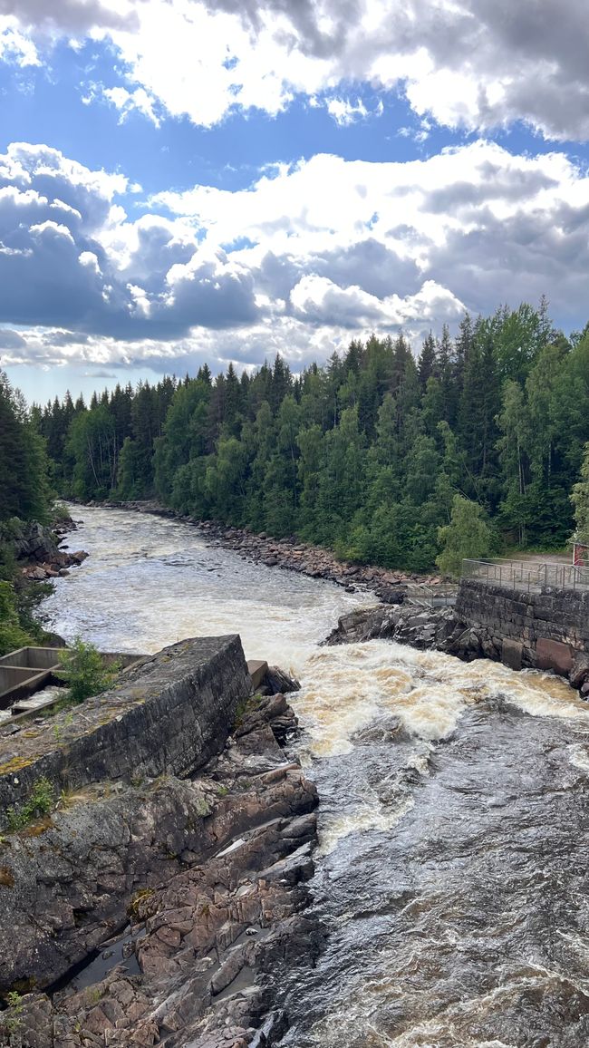 Lachstreppe / Fluss in dem Lachse zum Laichen an ihren Geburtsort wandern