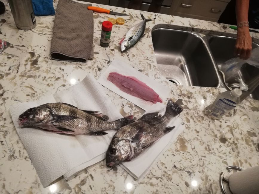 Our catch goes straight on the grill