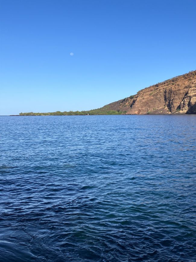 Captain Cook monument at the end of the tongue of land