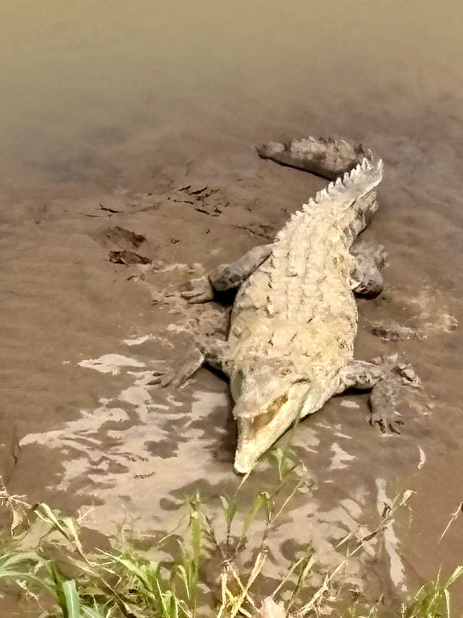Unterwegs in Costa Rica