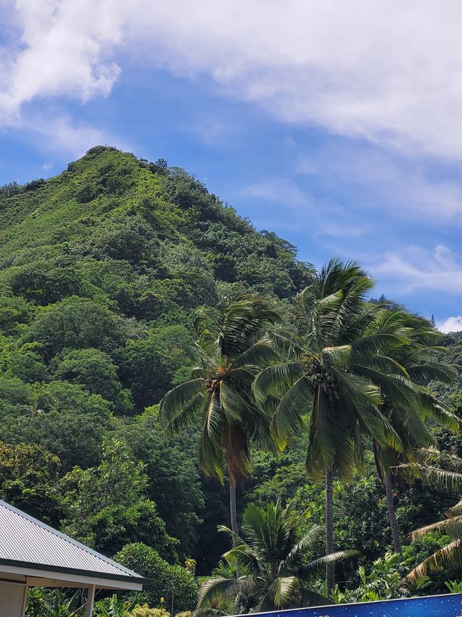 Día 67 de 175: Crucero alrededor del mundo - Moorea / Polinesia Francesa