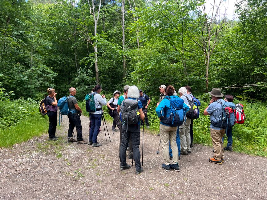 28 Wutachschlucht Pro Wolermoos