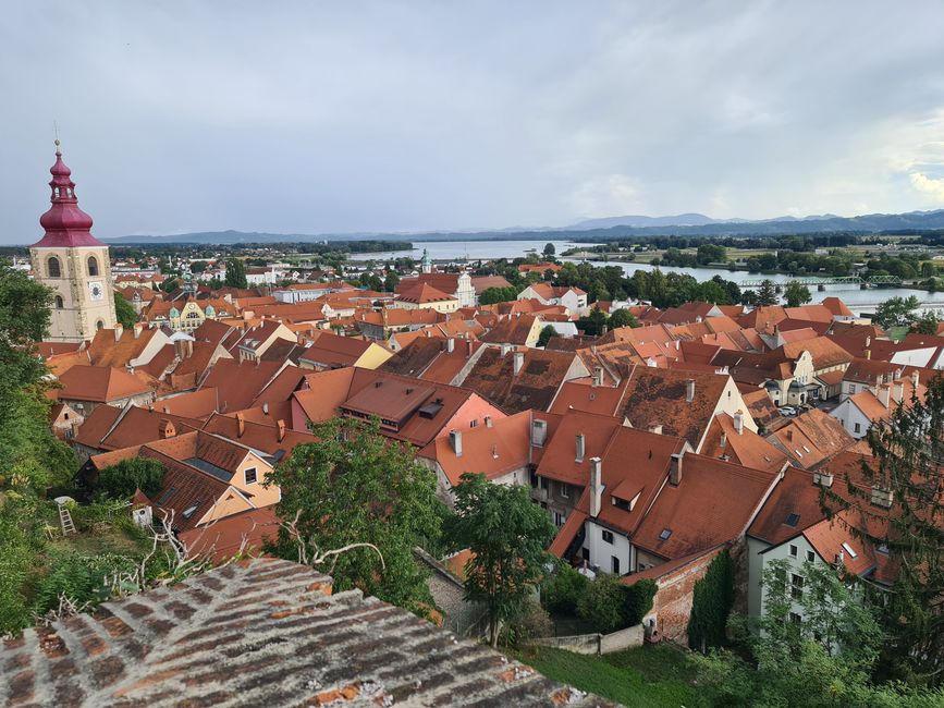 Blick über Ptuj