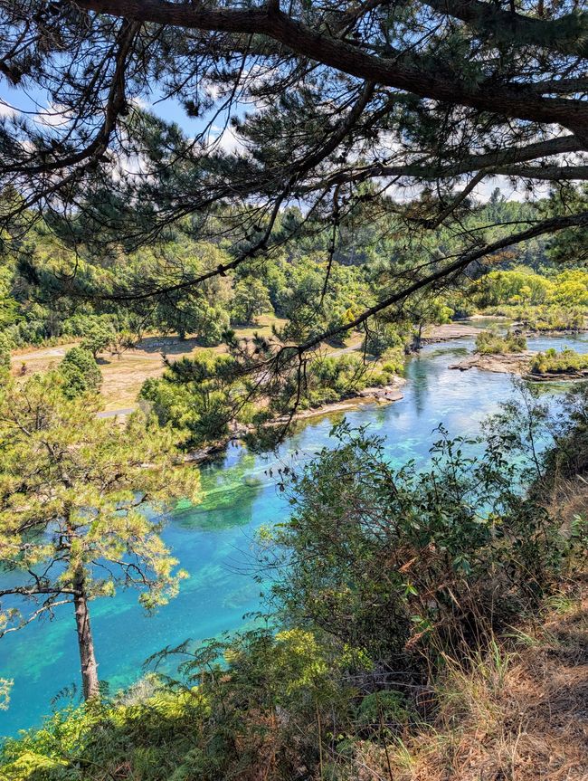Taupo - fast alles genau richtig so