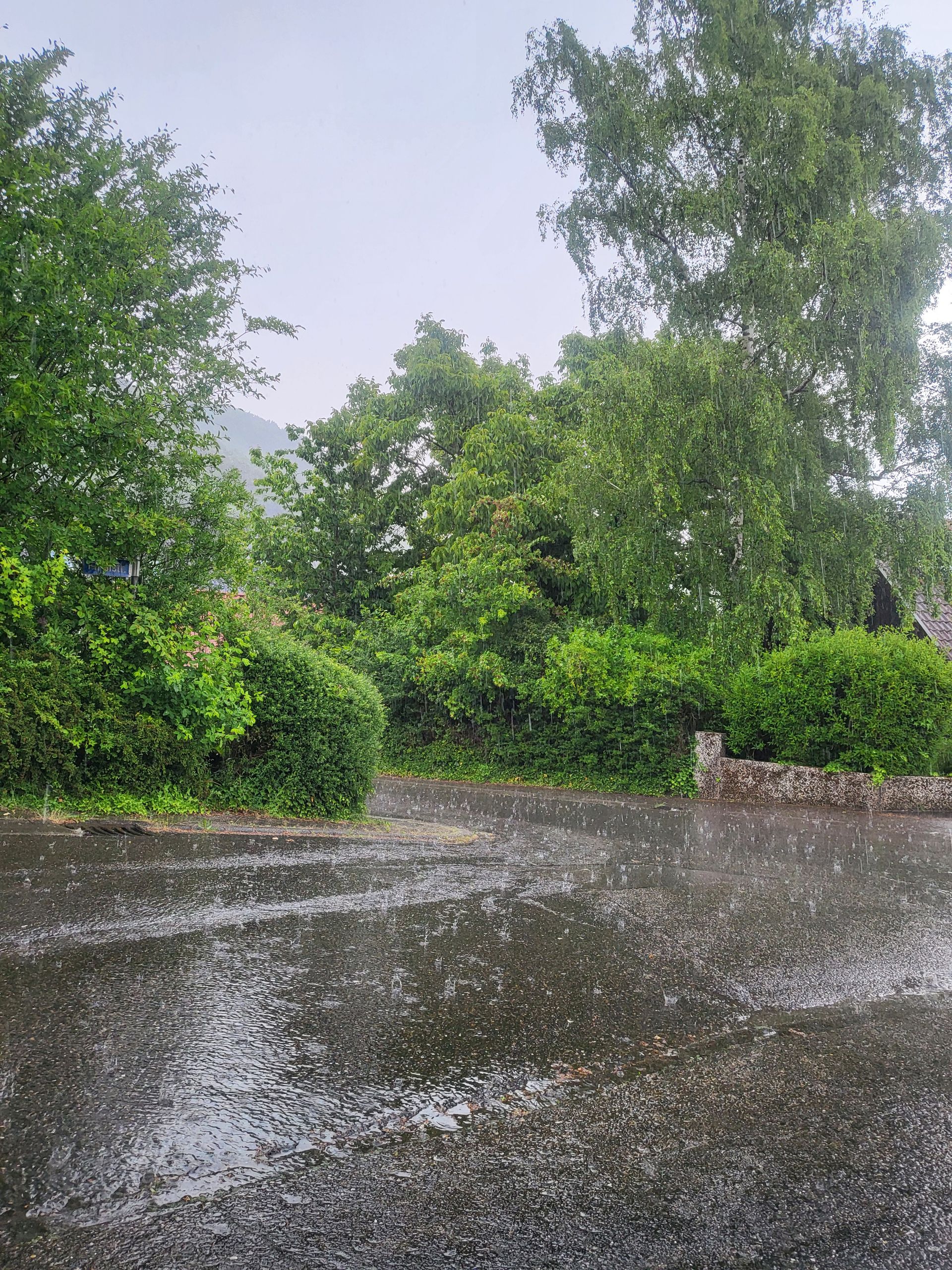 Wernersberg: Bad Weather