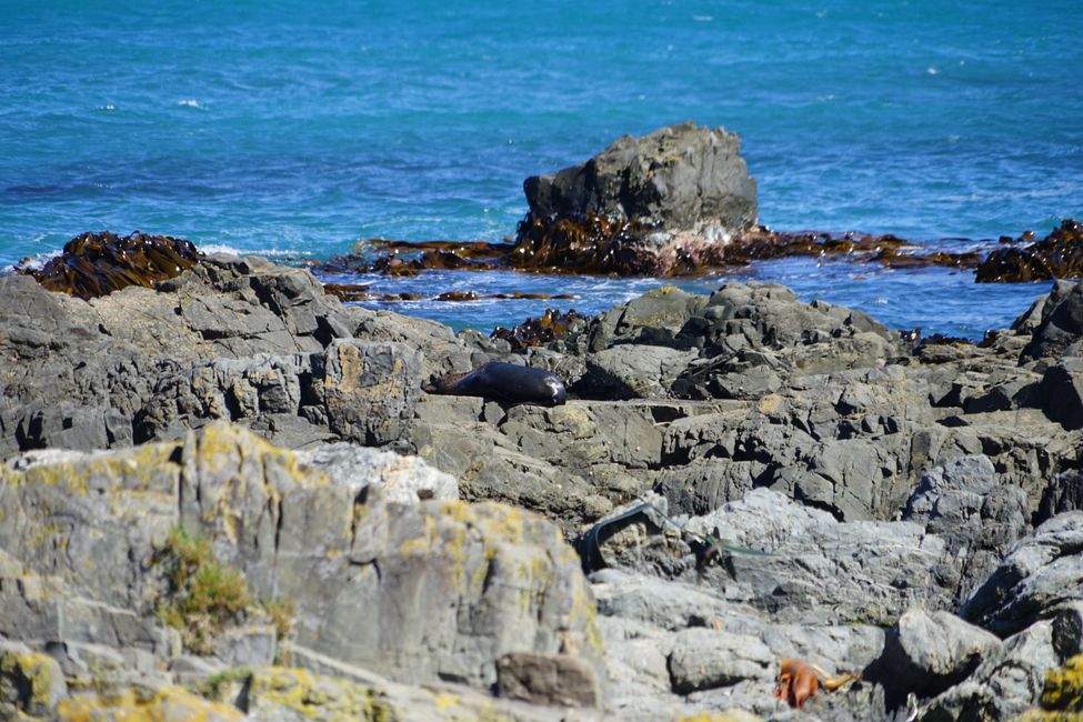 Owhiro Bay