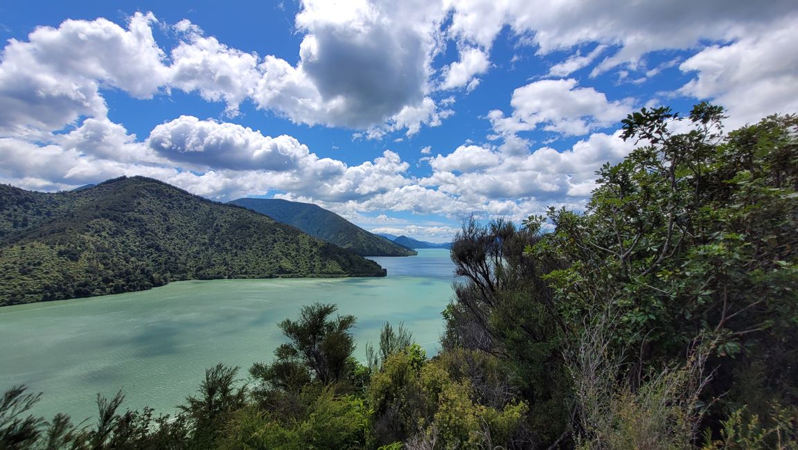 Von den Seehunden weiter in den Abel Tasman-Nationalpark