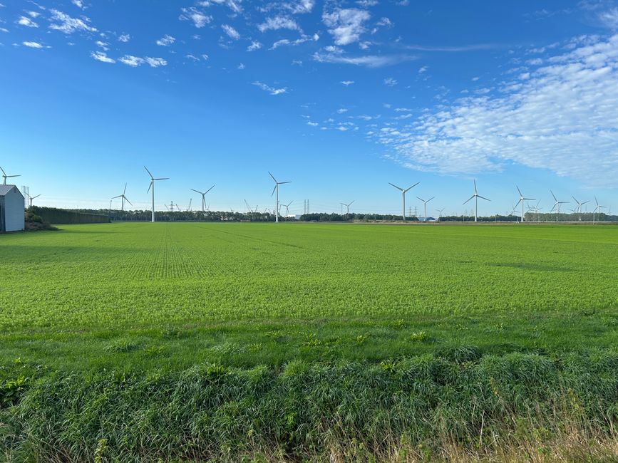 Land der Windmühlen 