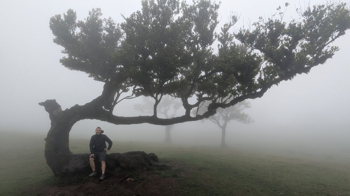 Tag 10: Levada das 25 Fontes und Risco & Feenwald