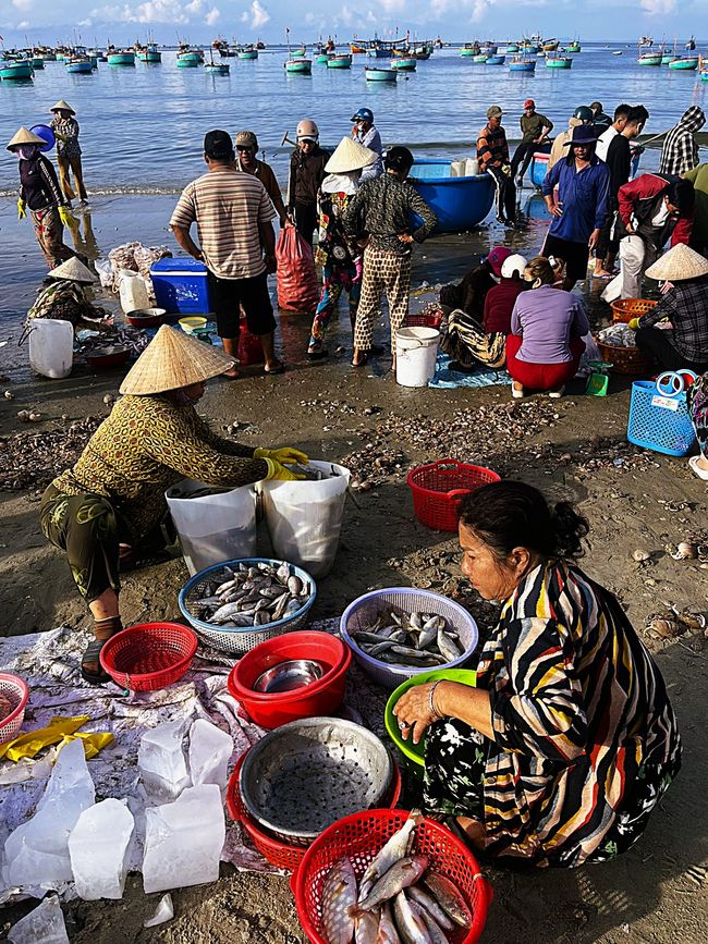 Fish market on the beach