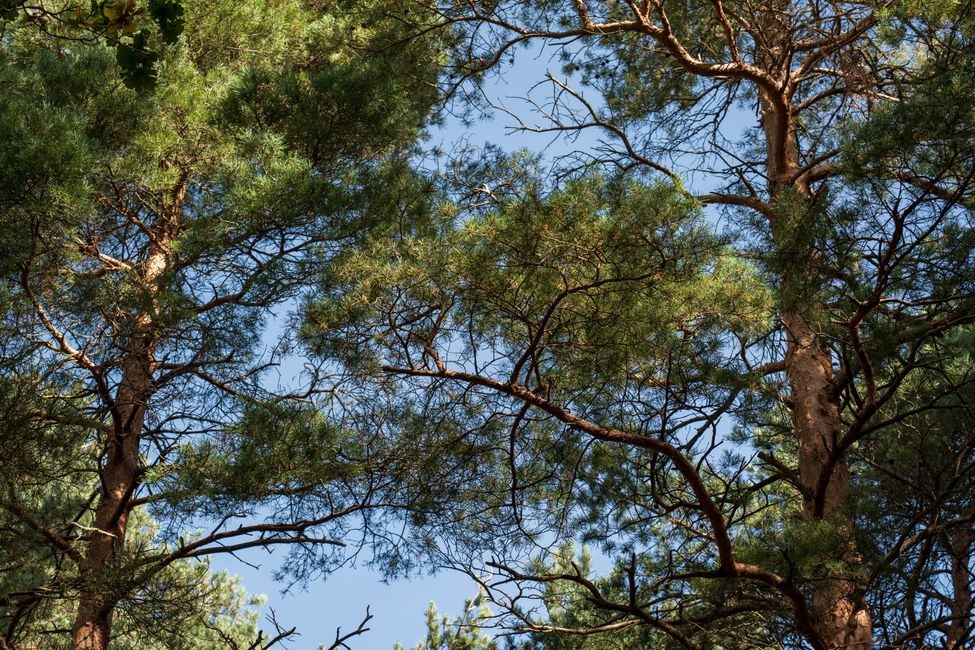 Última etapa: la dicha de la isla