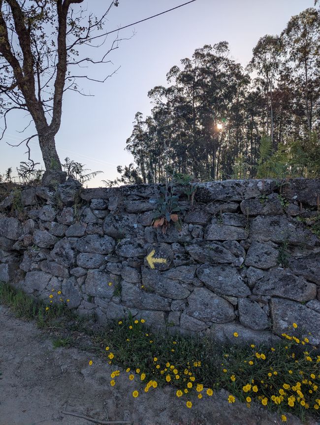 Dall'equilibrio delle forze (Camino Portugues 3)