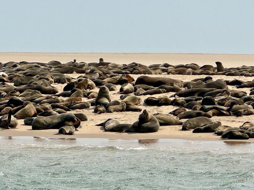 Swakopmund - por tierra y por mar