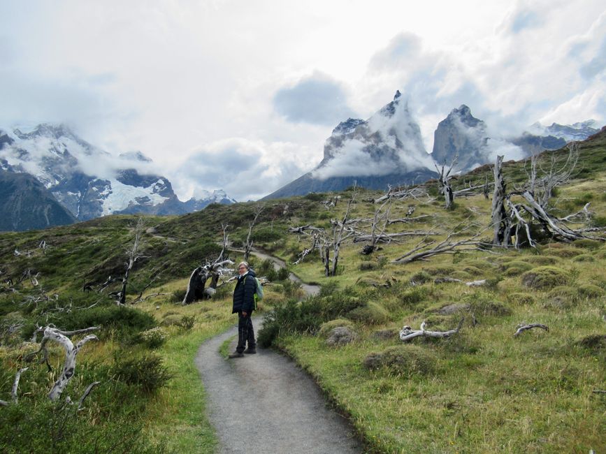 Torres del Paine