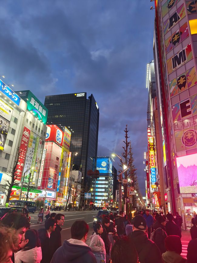 Des gens, des gens et encore plus de gens – La vie quotidienne à Tokyo