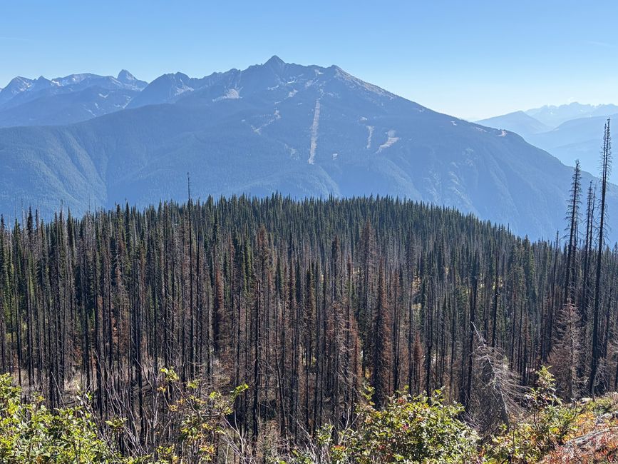 Kanada 7/21 - Revelstoke