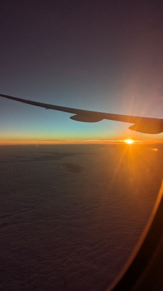 Day 11 - (2025) Dubai: AYA & Return flight
