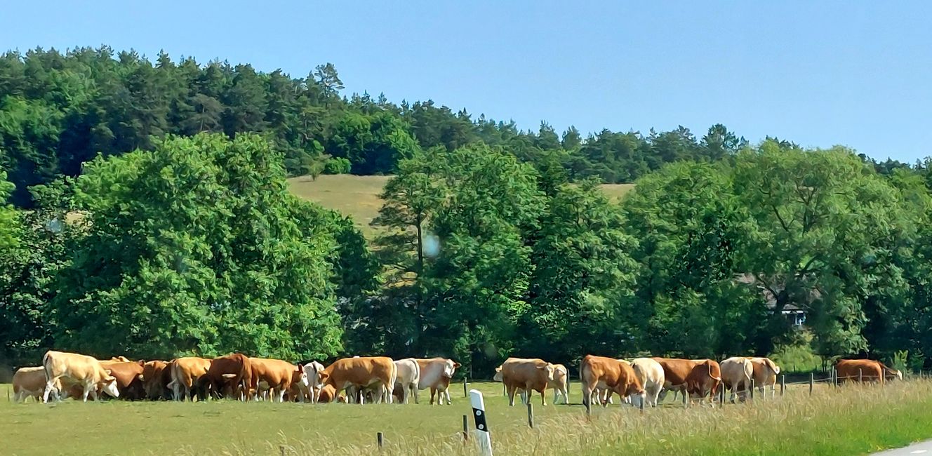 En route au bord du chemin