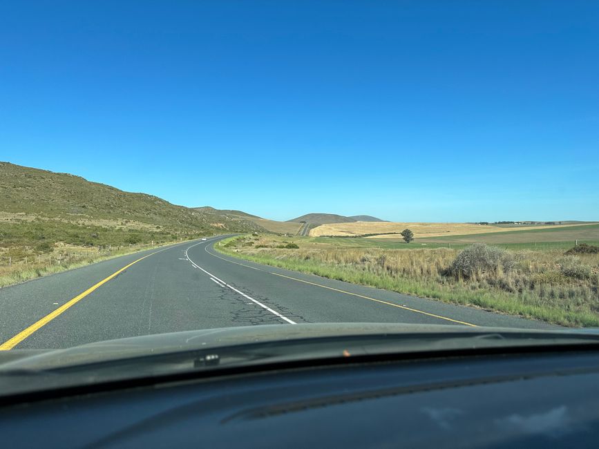 Day 5/29 - from Cape Town via Betty's Bay to Swellendam