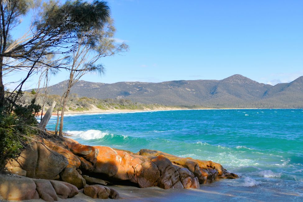 - Singapur & Tasmania 2019 -