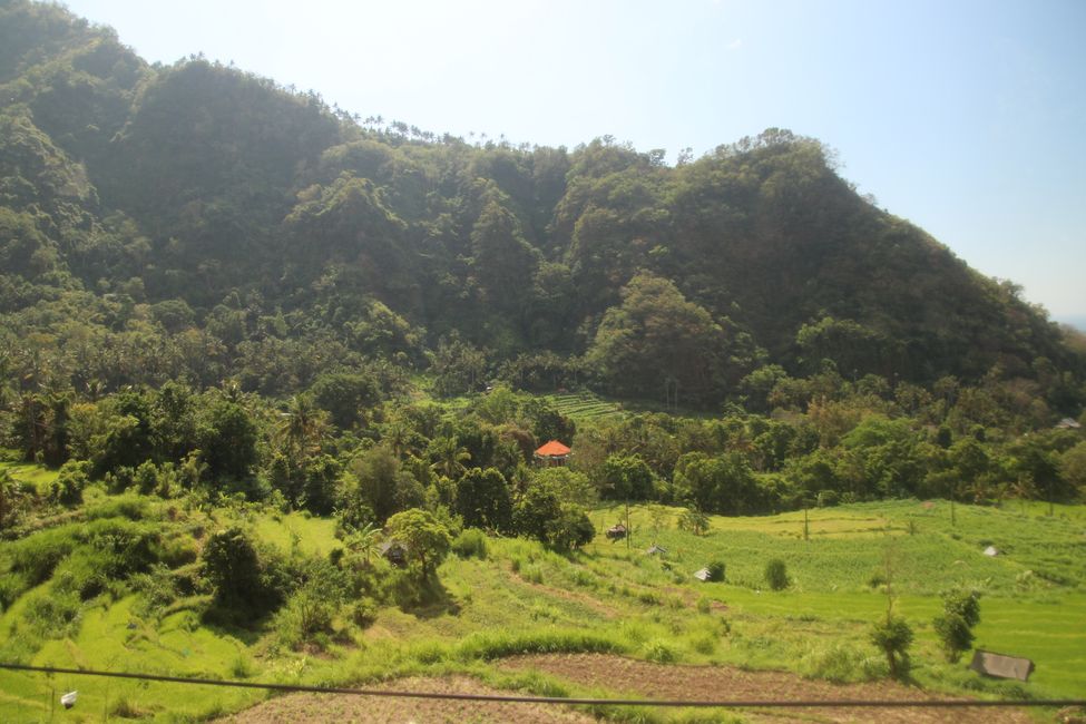 Tag 12 : En route dans le nord-est de Bali