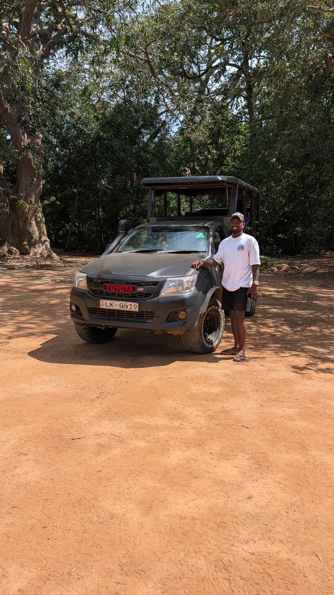 Safari rally yes or no?😉
