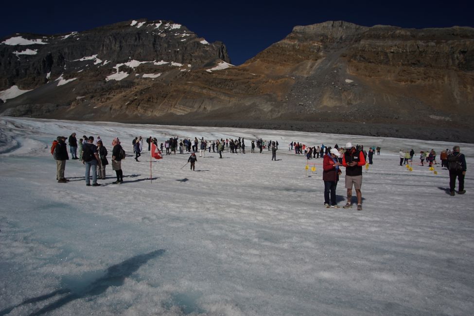 Tag 8 : Poursuite du voyage vers Jasper