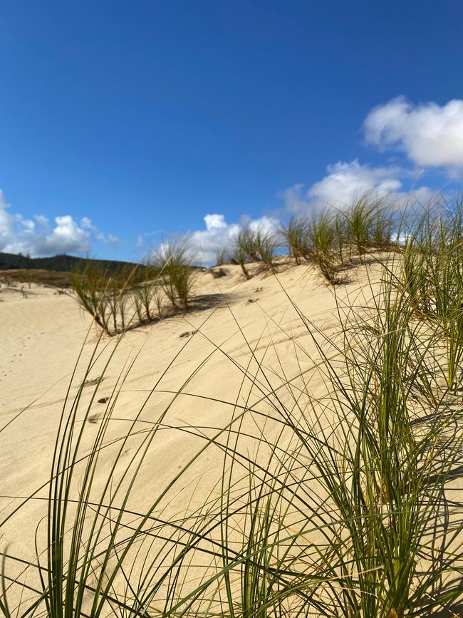 At the End of the World