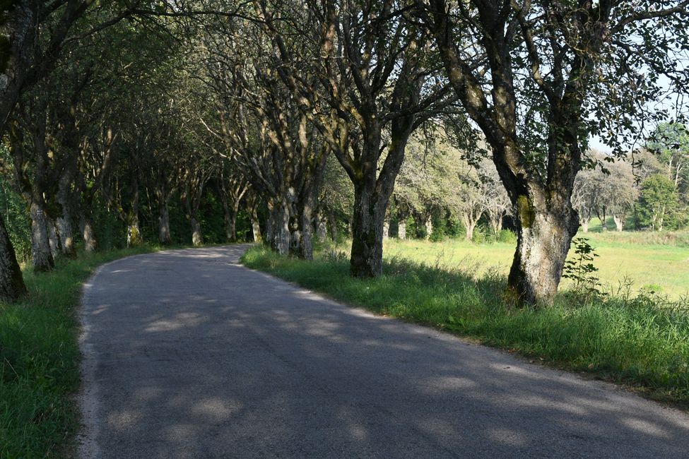 Viaggio in Masuria ad agosto 2024