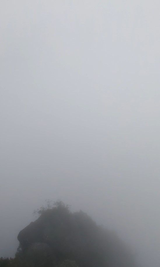 Die Aussicht vom Balkon