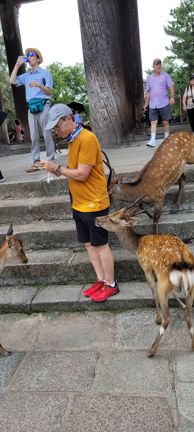 Tag 7. Shimoichi und Nara