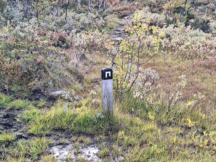Musk Ox Trail