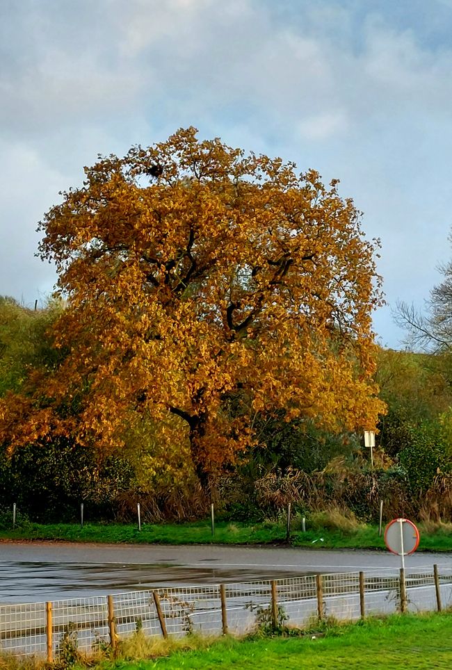 Winterswijk