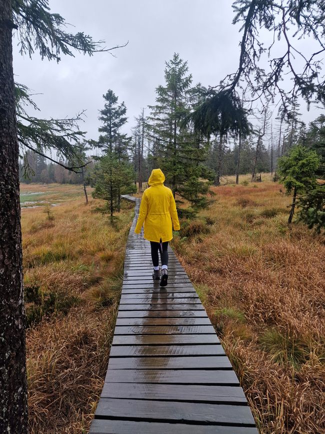 Breve viaggio nel Harz