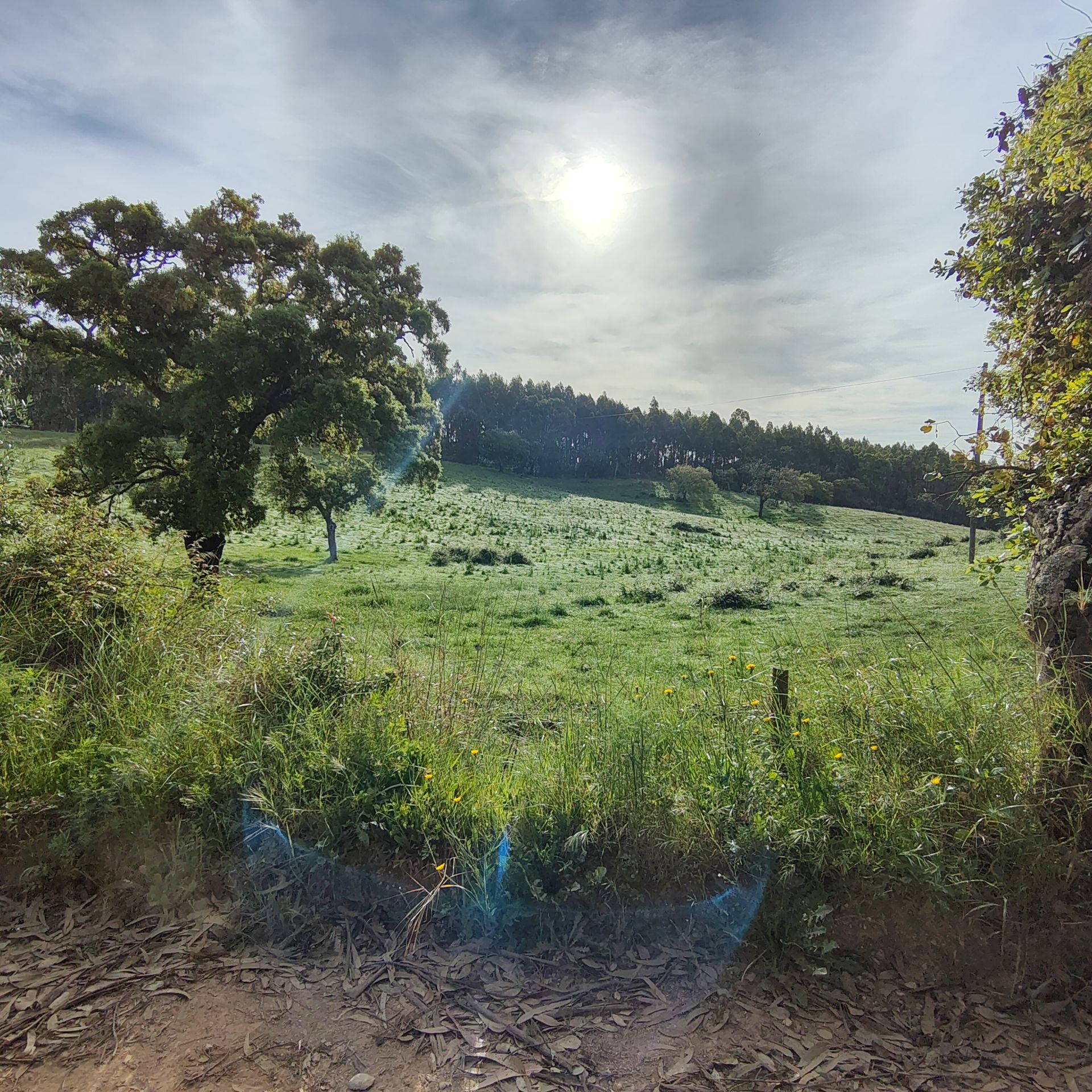 Santiago do Cacém